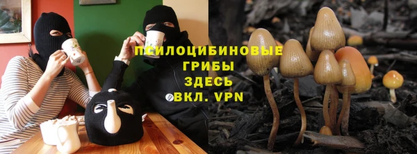 СК Кинешма