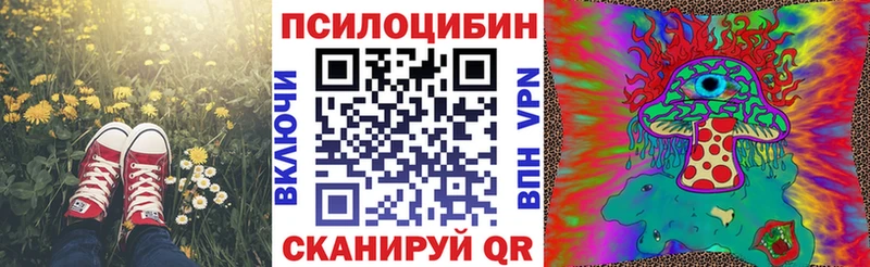 Галлюциногенные грибы Psilocybe  Тольятти 