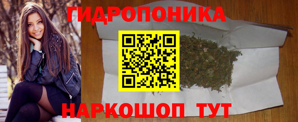 Бошки Шишки планчик  Шишки марихуана марихуана  Тольятти  Вход с VPN  Конопля сатива  Марихуана семена 